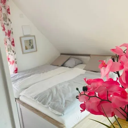 Apartment Scholle Steinbeck Recke Buitenkant foto