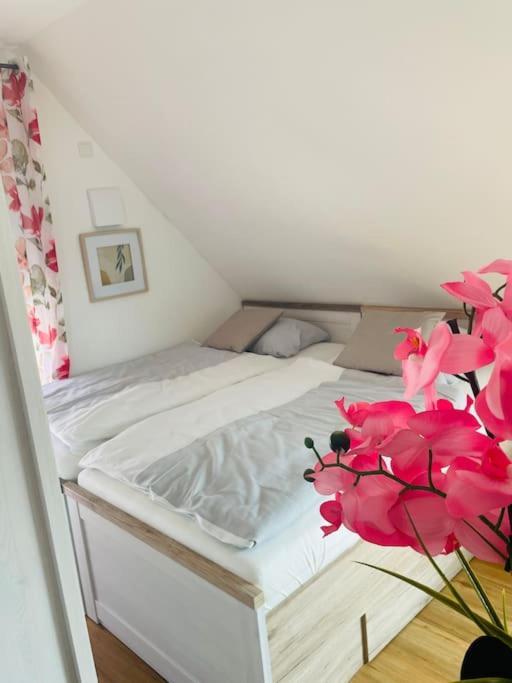 Scholle Steinbeck Appartement Recke